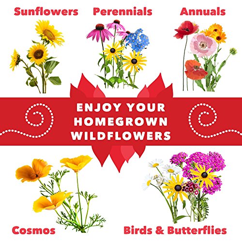 Wildflower Garden - Deluxe-KIT-WFD